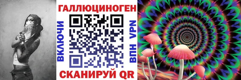 что такое   Новоузенск  ссылка на мегу онион  Галлюциногенные грибы Cubensis 